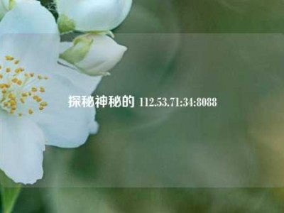 探秘神秘的 112.53.71:34:8088
