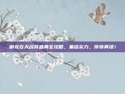 御龙在天名将盛典全攻略，集结实力，传奇再续！