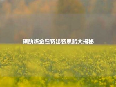 辅助炼金独特出装思路大揭秘