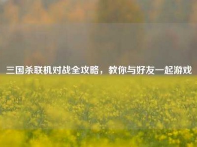 三国杀联机对战全攻略，教你与好友一起游戏