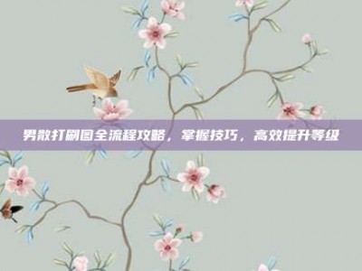 男散打刷图全流程攻略，掌握技巧，高效提升等级