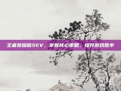王者荣耀版SEV，掌握核心策略，提升游戏胜率
