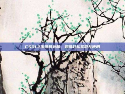 CSOL2激活码攻略，如何轻松获取并使用