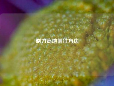 剃刀高地前往方法