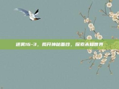迷雾16-3，揭开神秘面纱，探索未知世界