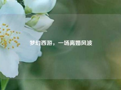 梦幻西游，一场离婚风波