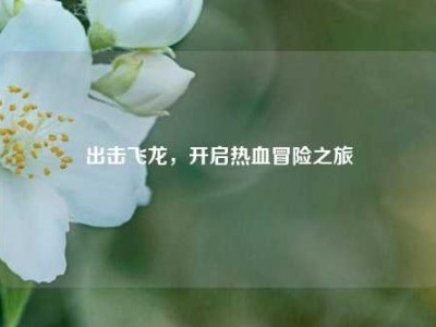 出击飞龙，开启热血冒险之旅
