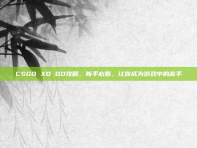 CSGO XD DD攻略，新手必看，让你成为游戏中的高手