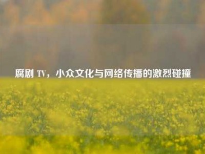 腐剧 TV，小众文化与网络传播的激烈碰撞