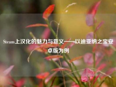 Steam上汉化的魅力与意义——以迪亚纳之宝安卓版为例