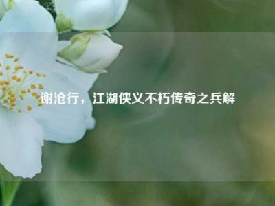 谢沧行，江湖侠义不朽传奇之兵解