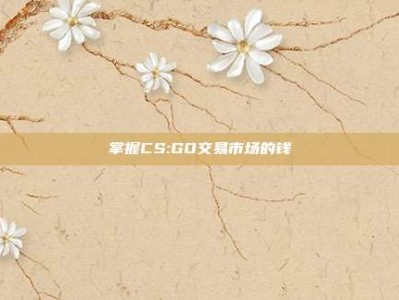 掌握CS:GO交易市场的钱