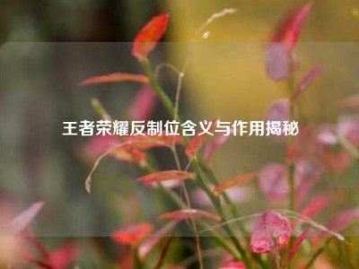 王者荣耀反制位含义与作用揭秘
