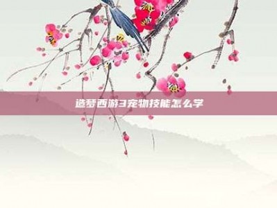 造梦西游3宠物技能怎么学