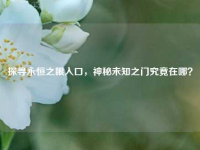 探寻永恒之眼入口，神秘未知之门究竟在哪？