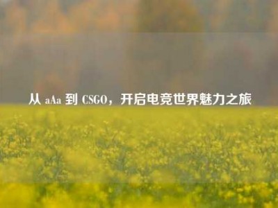 从 aAa 到 CSGO，开启电竞世界魅力之旅