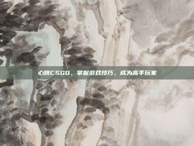 心跳CSGO，掌握游戏技巧，成为高手玩家