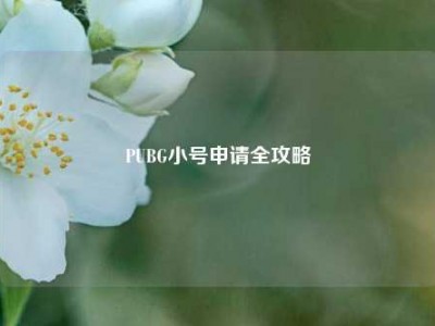 PUBG小号申请全攻略