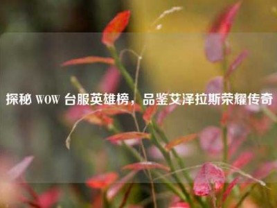 探秘 WOW 台服英雄榜，品鉴艾泽拉斯荣耀传奇