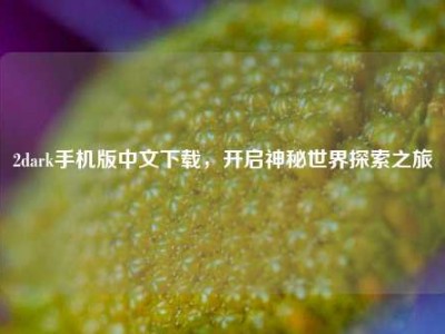 2dark手机版中文下载，开启神秘世界探索之旅