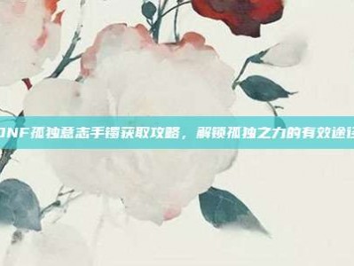 DNF孤独意志手镯获取攻略，解锁孤独之力的有效途径