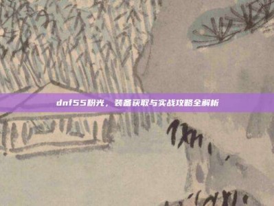 dnf55粉光，装备获取与实战攻略全解析