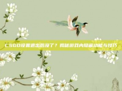CSGO设置退出后没了？揭秘游戏内隐藏功能与技巧