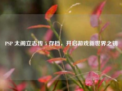 PSP 太阁立志传 5 存档，开启游戏新世界之钥