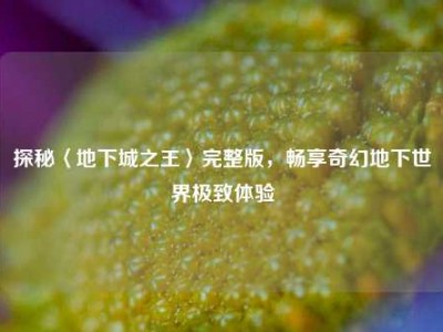 探秘〈地下城之王〉完整版，畅享奇幻地下世界极致体验