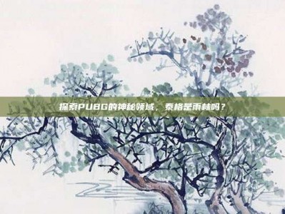 探索PUBG的神秘领域，泰格是雨林吗？