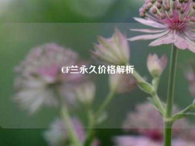 CF兰永久价格解析