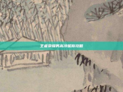 王者荣耀男高冷昵称攻略