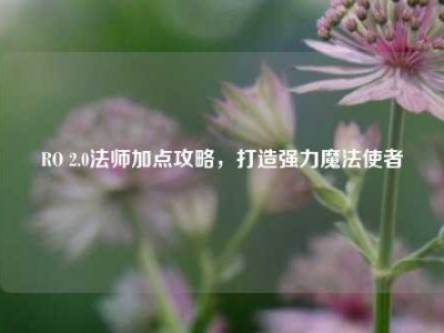 RO 2.0法师加点攻略，打造强力魔法使者