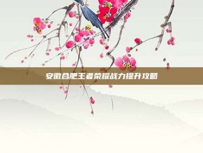 安徽合肥王者荣耀战力提升攻略