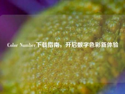 Color Number下载指南，开启数字色彩新体验