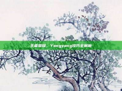 王者荣耀，Yangyang技巧全解析