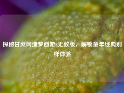 探秘甘蔗网造梦西游2无敌版，解锁童年经典别样体验