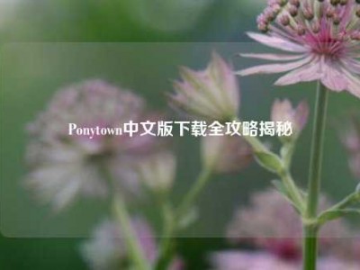 Ponytown中文版下载全攻略揭秘