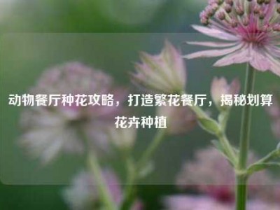 动物餐厅种花攻略，打造繁花餐厅，揭秘划算花卉种植