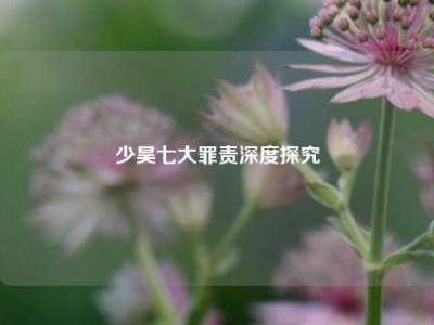 少昊七大罪责深度探究