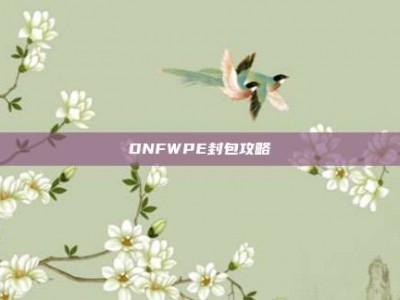 DNFWPE封包攻略