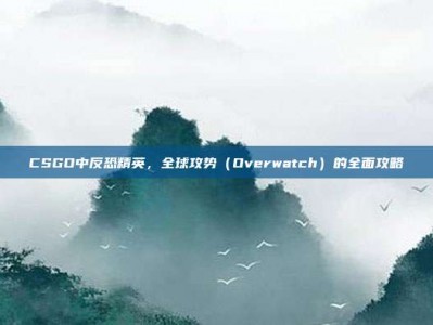 CSGO中反恐精英，全球攻势（Overwatch）的全面攻略