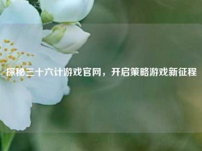 探秘三十六计游戏官网，开启策略游戏新征程