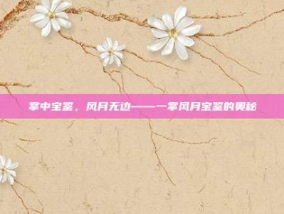 掌中宝鉴，风月无边——一掌风月宝鉴的奥秘