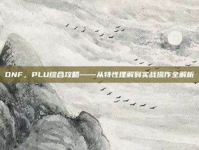 DNF，PLU综合攻略——从特性理解到实战操作全解析