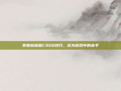 掌握镜像图CSGO技巧，成为游戏中的高手