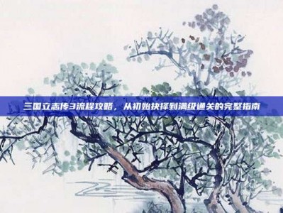 三国立志传3流程攻略，从初始抉择到满级通关的完整指南