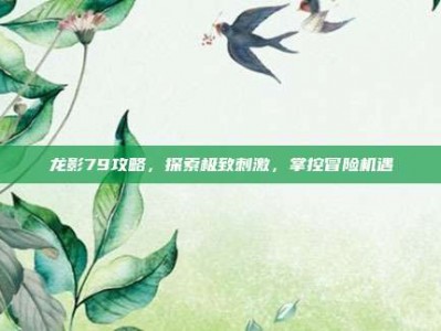 龙影79攻略，探索极致刺激，掌控冒险机遇