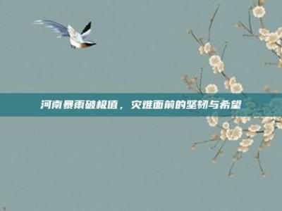河南暴雨破极值，灾难面前的坚韧与希望