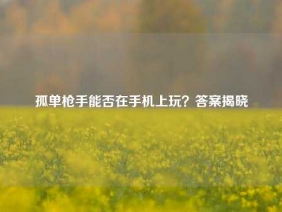 孤单枪手能否在手机上玩？答案揭晓